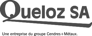 logo quelozsa